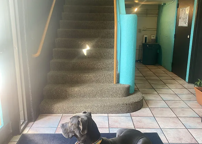 The Block Basic - Queen * Bisbee